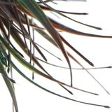 Darrahopens Home & Garden > Artificial Plants > Artifical Flowers & Plants Artificial Brown Tipped Grass Plant UV Resistant 35cm