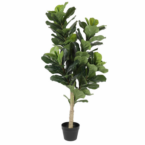 darrahopens Home & Garden > Artificial Plants Artificial Fiddle Fig 130cm