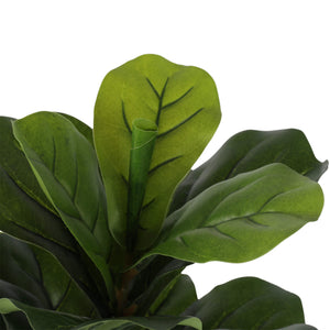 darrahopens Home & Garden > Artificial Plants Artificial Fiddle Fig 130cm