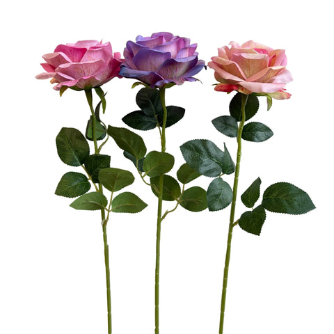 Darrahopens Home & Garden > Artificial Plants > Artificial Flowers & Plants Bulk 24 Large Artificial Gradient Tone Rose Stem 3 Asst In Australia - Darrahopens