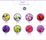 Darrahopens Home & Garden > Artificial Plants > Artificial Flowers & Plants FauxFive-PetaledChampagneFlower