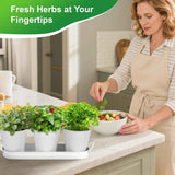 Darrahopens Home & Garden > Artificial Plants > Artificial Flowers & Plants Herb Garden Planter Indoor Kit – 6 Metal Pots with 2 Trays for Windowsill & Kitchen Counter – Modern Decorative Indoor Planters for Herbs, Succulents & Small Plants, White