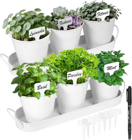 Darrahopens Home & Garden > Artificial Plants > Artificial Flowers & Plants Herb Garden Planter Indoor Kit – 6 Metal Pots with 2 Trays for Windowsill & Kitchen Counter – Modern Decorative Indoor Planters for Herbs, Succulents & Small Plants, White