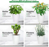 Darrahopens Home & Garden > Artificial Plants > Artificial Flowers & Plants Herb Garden Planter Indoor Kit – 6 Metal Pots with 2 Trays for Windowsill & Kitchen Counter – Modern Decorative Indoor Planters for Herbs, Succulents & Small Plants, White