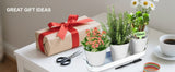 Darrahopens Home & Garden > Artificial Plants > Artificial Flowers & Plants Herb Garden Planter Indoor Kit – 6 Metal Pots with 2 Trays for Windowsill & Kitchen Counter – Modern Decorative Indoor Planters for Herbs, Succulents & Small Plants, White
