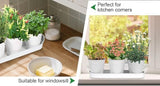 Darrahopens Home & Garden > Artificial Plants > Artificial Flowers & Plants Herb Garden Planter Indoor Kit – 6 Metal Pots with 2 Trays for Windowsill & Kitchen Counter – Modern Decorative Indoor Planters for Herbs, Succulents & Small Plants, White