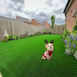 Darrahopens Home & Garden > Artificial Plants > Artificial Grass Green Artificial Turf Reusable Turf Pet Turf 4cm Artificial Grass Drainable In Australia - Darrahopens