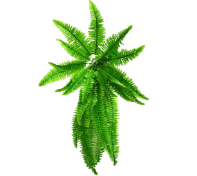 Darrahopens Home & Garden > Artificial Plants > Artificial Hanging Plants Artificial Boston Hanging Fern 102cm