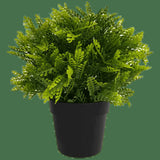 Darrahopens Home & Garden > Artificial Plants > Artificial Hanging Plants Small Potted Artificial Mimosa Fern UV Resistant 20cm