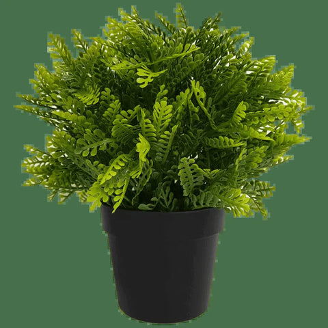 Darrahopens Home & Garden > Artificial Plants > Artificial Hanging Plants Small Potted Artificial Mimosa Fern UV Resistant 20cm