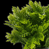 Darrahopens Home & Garden > Artificial Plants > Artificial Hanging Plants Small Potted Artificial Mimosa Fern UV Resistant 20cm