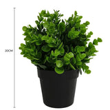 Darrahopens Home & Garden > Artificial Plants > Artificial Hanging Plants Small Potted Artificial Peperomia Plant UV Resistant 20cm