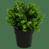Darrahopens Home & Garden > Artificial Plants > Artificial Hanging Plants Small Potted Artificial Peperomia Plant UV Resistant 20cm