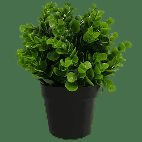 Darrahopens Home & Garden > Artificial Plants > Artificial Hanging Plants Small Potted Artificial Peperomia Plant UV Resistant 20cm
