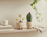 Darrahopens Home & Garden > Artificial Plants > Artificial Potted Plants Bulk 6 Handmade Daisy & Cactus Pot Lrg 25cm 2 Asst In Australia - Darrahopens