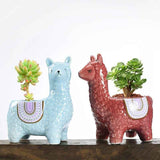 Head-Tilted-Alpaca-Orchid-Ceramic-Planter