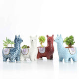 Head-Tilted-Alpaca-Orchid-Ceramic-Planter
