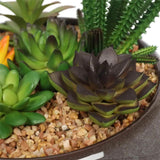 Darrahopens Home & Garden > Artificial Plants > Artificial Potted Plants Potted Artificial Succulents with Round Decorative Bowl 19cm