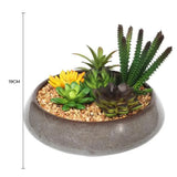 Darrahopens Home & Garden > Artificial Plants > Artificial Potted Plants Potted Artificial Succulents with Round Decorative Bowl 19cm
