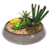 Darrahopens Home & Garden > Artificial Plants > Artificial Potted Plants Potted Artificial Succulents with Round Decorative Bowl 19cm