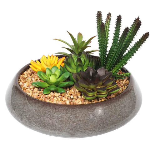Darrahopens Home & Garden > Artificial Plants > Artificial Potted Plants Potted Artificial Succulents with Round Decorative Bowl 19cm