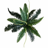 Darrahopens Home & Garden > Artificial Plants > Artificial Trees Artificial Dark Green Boston Fern 60cm