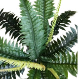 Darrahopens Home & Garden > Artificial Plants > Artificial Trees Artificial Dark Green Boston Fern 60cm
