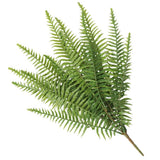 Darrahopens Home & Garden > Artificial Plants > Artificial Trees Artificial Fern (Lady Fern) 50cm UV Resistant