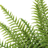 Darrahopens Home & Garden > Artificial Plants > Artificial Trees Artificial Fern (Lady Fern) 50cm UV Resistant