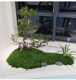 Darrahopens Home & Garden > Artificial Plants > Artificial Trees Dark Green Artificial Moss 50×100cm