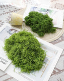 Darrahopens Home & Garden > Artificial Plants > Artificial Trees Dark Green Artificial Moss 50×50cm
