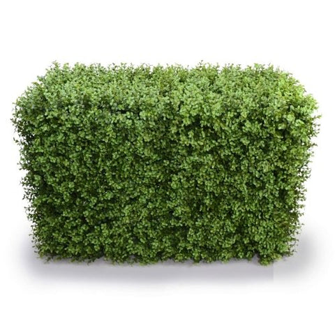 Darrahopens Home & Garden > Artificial Plants > Artificial Trees Deluxe Portable Buxus Hedge UV Resistant 100cm Long x 50cm High
