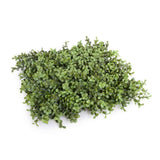 Darrahopens Home & Garden > Artificial Plants > Artificial Trees Deluxe Portable Buxus Hedge UV Resistant 100cm Long x 50cm High