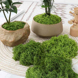 Darrahopens Home & Garden > Artificial Plants > Artificial Trees Light Green Artificial Moss 50×50cm