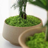 Darrahopens Home & Garden > Artificial Plants > Artificial Trees Light Green Artificial Moss 50×50cm