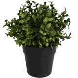 Darrahopens Home & Garden > Artificial Plants > Artificial Trees Small Potted Artificial Buxus Plant UV Resistant 20cm