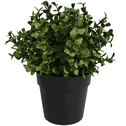 Darrahopens Home & Garden > Artificial Plants > Artificial Trees Small Potted Artificial Buxus Plant UV Resistant 20cm