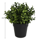 Darrahopens Home & Garden > Artificial Plants > Artificial Trees Small Potted Artificial Buxus Plant UV Resistant 20cm