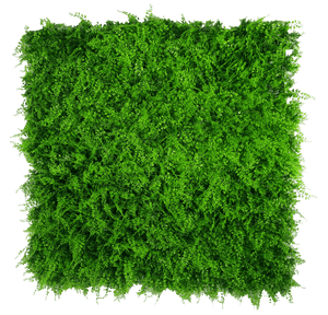 darrahopens Home & Garden > Artificial Plants Mediterranean Fern Vertical Garden UV Stabilised 1m X 1m