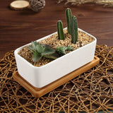 Darrahopens Home & Garden > Artificial Plants > Pots, Planters & Accessories 17Cm Ceramic Succulent Pot With Bamboo Tray White 2 pcs Set, Cactus Planter Cache Pot Jardinière Container Gift For
