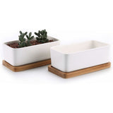 Darrahopens Home & Garden > Artificial Plants > Pots, Planters & Accessories 17Cm Ceramic Succulent Pot With Bamboo Tray White 2 pcs Set, Cactus Planter Cache Pot Jardinière Container Gift For