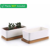 Darrahopens Home & Garden > Artificial Plants > Pots, Planters & Accessories 17Cm Ceramic Succulent Pot With Bamboo Tray White 2 pcs Set, Cactus Planter Cache Pot Jardinière Container Gift For