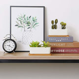Darrahopens Home & Garden > Artificial Plants > Pots, Planters & Accessories 17Cm Ceramic Succulent Pot With Bamboo Tray White 2 pcs Set, Cactus Planter Cache Pot Jardinière Container Gift For
