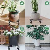 Darrahopens Home & Garden > Artificial Plants > Pots, Planters & Accessories 2 Pack Round Metal Plant Stands for Flower Pots, Heavy-Duty Rustproof Iron Indoor and Outdoor Planter Risers, Black, 30 cm In Australia - Darrahopens