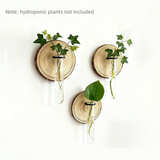 Darrahopens Home & Garden > Artificial Plants > Pots, Planters & Accessories 3-Pack Wall-Mounted Hydroponic Plant Test TubeFlower Pot for Indoor Plants & Cuttings