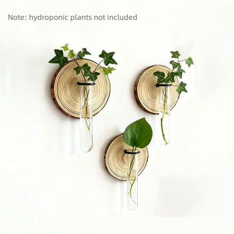 Darrahopens Home & Garden > Artificial Plants > Pots, Planters & Accessories 3-Pack Wall-Mounted Hydroponic Plant Test TubeFlower Pot for Indoor Plants & Cuttings
