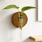 Darrahopens Home & Garden > Artificial Plants > Pots, Planters & Accessories 3-Pack Wall-Mounted Hydroponic Plant Test TubeFlower Pot for Indoor Plants & Cuttings