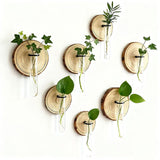 Darrahopens Home & Garden > Artificial Plants > Pots, Planters & Accessories 6-Pack Wall-Mounted Hydroponic Plant Test TubeFlower Pot for Indoor Plants & Cuttings