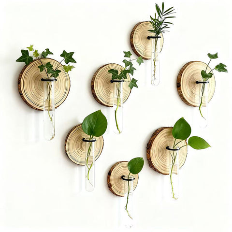 Darrahopens Home & Garden > Artificial Plants > Pots, Planters & Accessories 6-Pack Wall-Mounted Hydroponic Plant Test TubeFlower Pot for Indoor Plants & Cuttings
