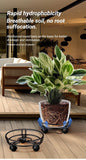 Darrahopens Home & Garden > Artificial Plants > Pots, Planters & Accessories Black Round Movable Plant Caddy with Wheels